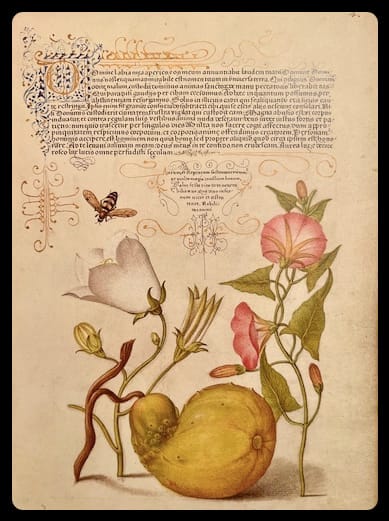 Mirrors Are Mere Surfaces: AI and the Arts